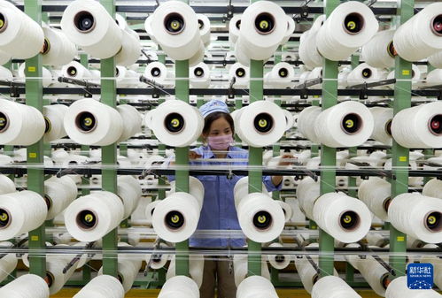 新華全媒 丨河南傳統產業向“新”而行 以環保科技開辟轉型新賽道